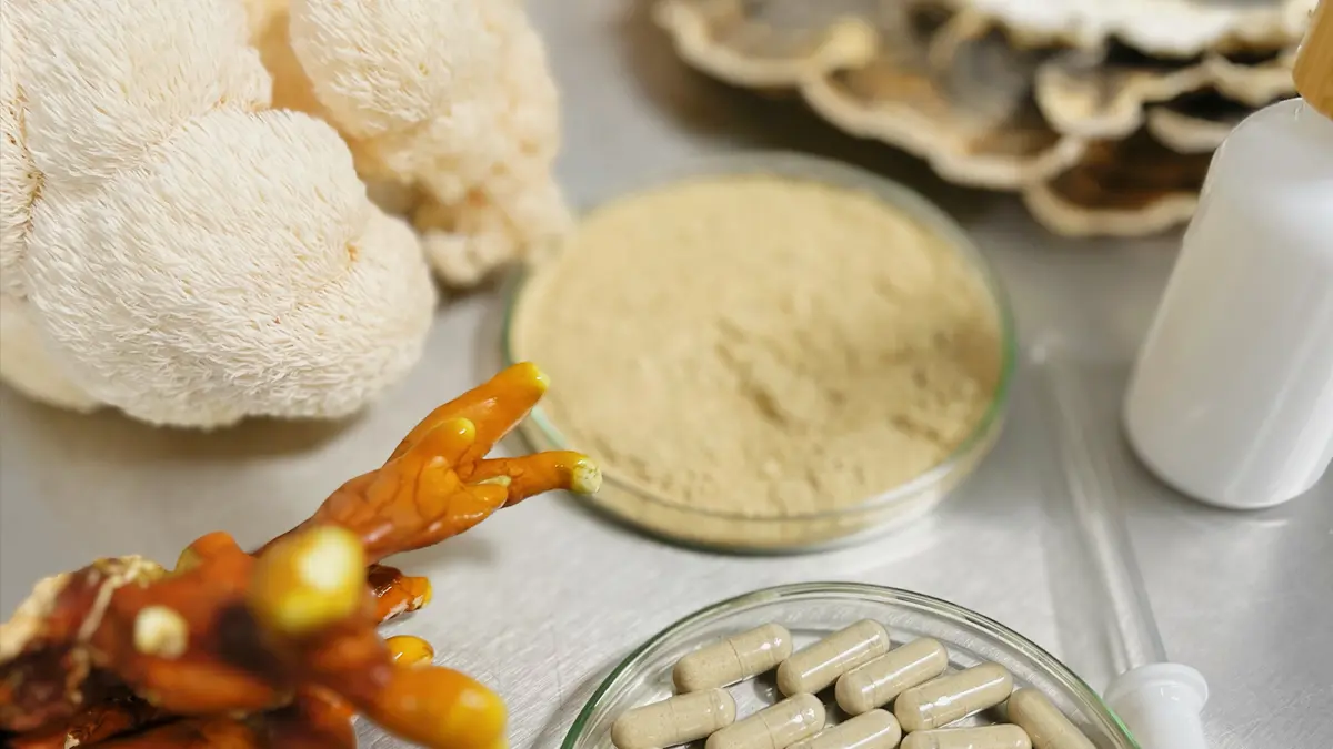 Paneļdiskusija: Sēnes un labbūtība