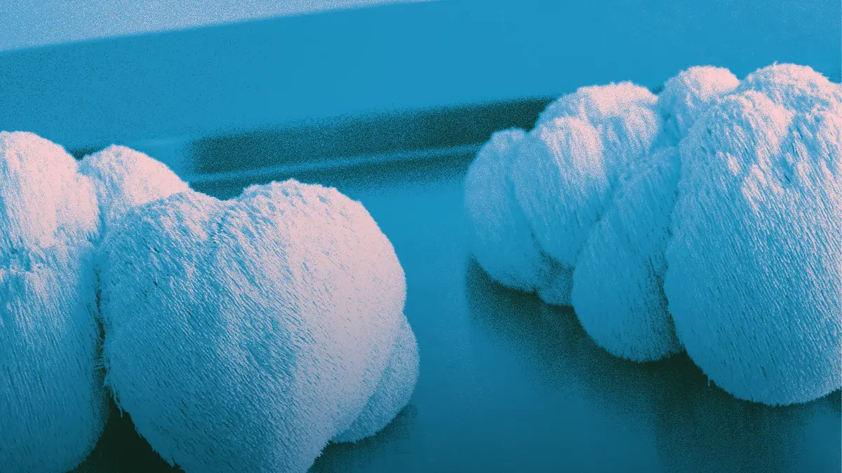 Ceļvedis sēņu uztura bagātinātāju izvēlei